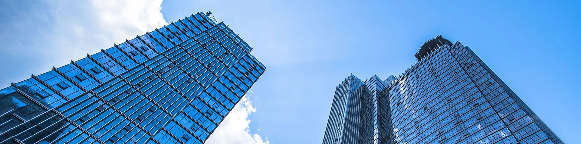 সংস্থা সম্পর্কে